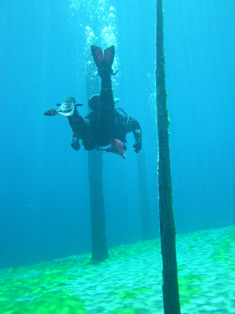 Diving in Clear Lake