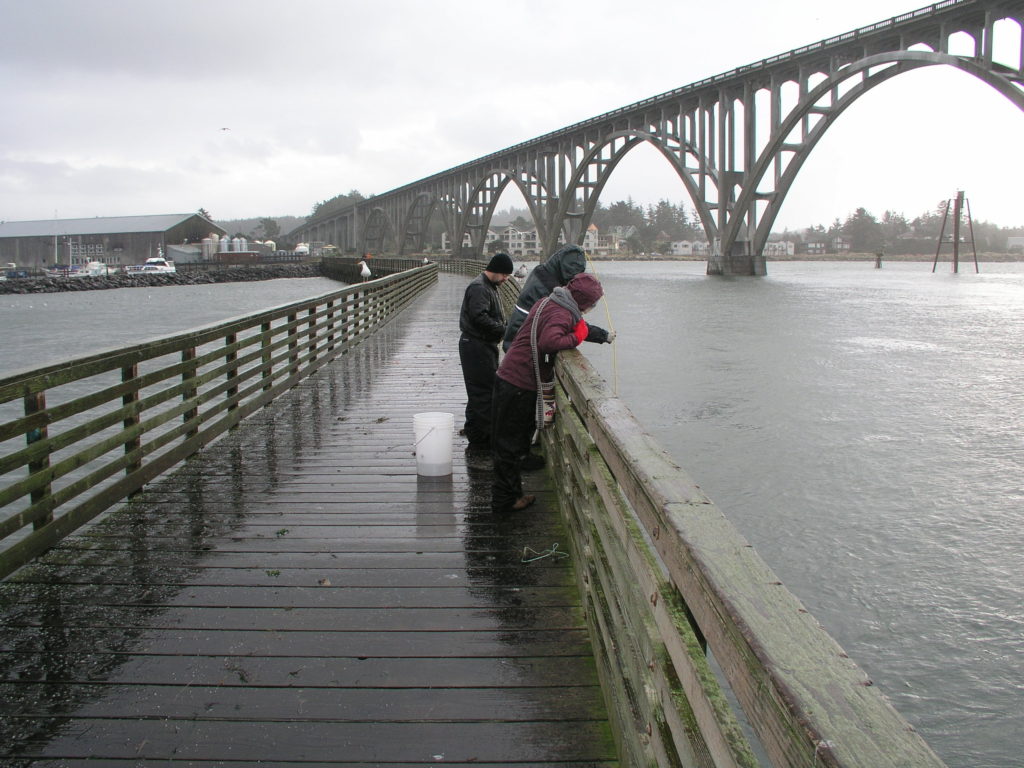 A photo of the crab dock in Newport