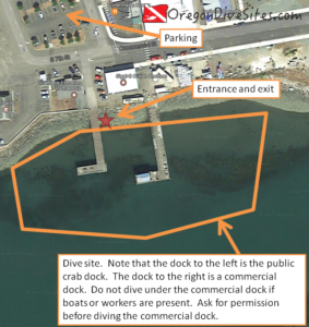 garibaldi crab dock